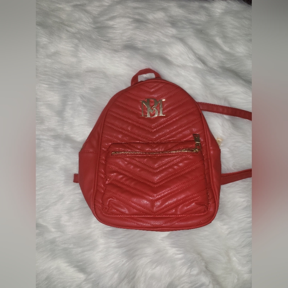 Badgley Mischka Backpack